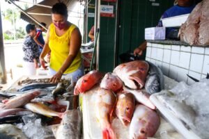 recuo-de-trump-alivia-para-vendas-do-aco-do-ceara,-mas-pescados-seguem-com-tarifas