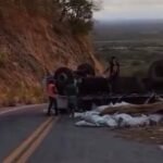 caminhao-com-carregamento-de-racao-para-peixes-capota-em-ladeira-em-crateus,-no-ceara