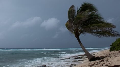 ceara-pode-registrar-minimas-de-17°c-e-maximas-de-35°c-nos-proximos-dias,-aponta-funceme