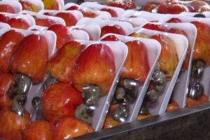 chegada-da-safra-derruba-precos-e-faz-vendas-de-brocolis-e-caju-dispararem-na-ceasa