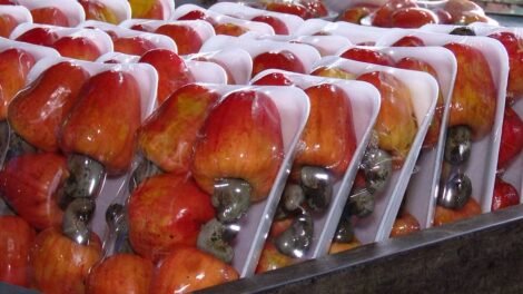 chegada-da-safra-derruba-precos-e-faz-vendas-de-brocolis-e-caju-dispararem-na-ceasa