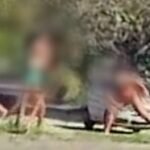 video-flagra-mulher-trans-tentando-esfaquear-outra-durante-briga-na-rua,-em-fortaleza
