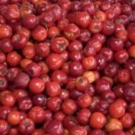 setor-de-frutas-frescas-do-ceara-deve-produzir-quase-2-milhoes-de-toneladas-em-2025