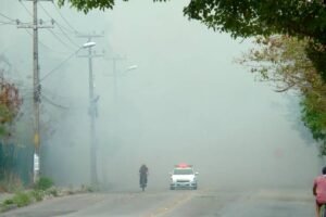ceara-registra-quase-quatro-incendios-em-vegetacao-por-dia-entre-janeiro-e-julho