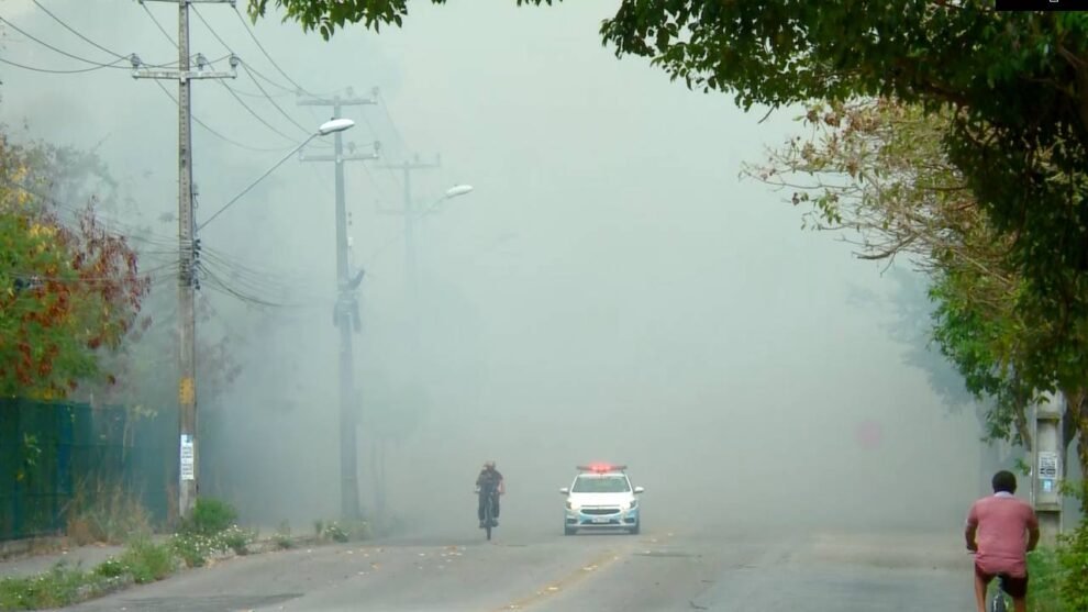 ceara-registra-quase-quatro-incendios-em-vegetacao-por-dia-entre-janeiro-e-julho