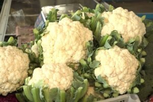 couve-flor-cearense-se-destaca-na-ceasa-com-aumento-de-producao-e-procura-pelo-alimento