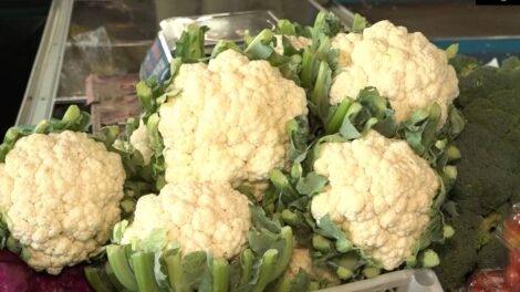 couve-flor-cearense-se-destaca-na-ceasa-com-aumento-de-producao-e-procura-pelo-alimento