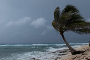 ceara-tem-44-cidades-sob-aviso-de-“perigo-potencial”-por-ventos-costeiros-e-baixa-umidade
