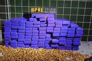 dois-homens-sao-presos-em-santa-quiteria,-no-ceara,-transportando-113-kg-de-maconha