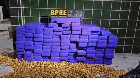 dois-homens-sao-presos-em-santa-quiteria,-no-ceara,-transportando-113-kg-de-maconha