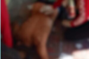 homem-em-situacao-de-rua-e-baleado-nas-nadegas-apos-ser-abordado-por-motociclista-em-fortaleza