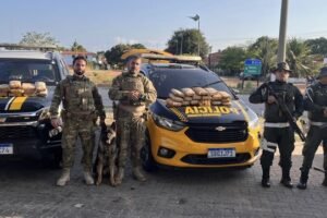 “supermaconha”:-homem-e-preso-ao-trafegar-com-37-tabletes-de-skunk-em-paracuru,-no-ceara
