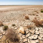 agricultor-e-condenado-a-23-anos-por-matar-patrao-com-martelo-no-interior-do-ceara