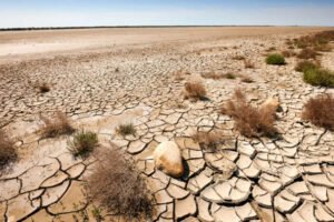 agricultor-e-condenado-a-23-anos-por-matar-patrao-com-martelo-no-interior-do-ceara