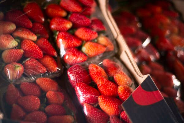 ceasa-registra-queda-nos-precos-de-produtos-alimenticios-como-morango,-manga-e-batata-inglesa