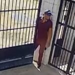 criminoso-forca-portao,-escala-predio,-invade-apartamento-e-furta-tv-e-perfumes-em-fortaleza