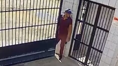 criminoso-forca-portao,-escala-predio,-invade-apartamento-e-furta-tv-e-perfumes-em-fortaleza
