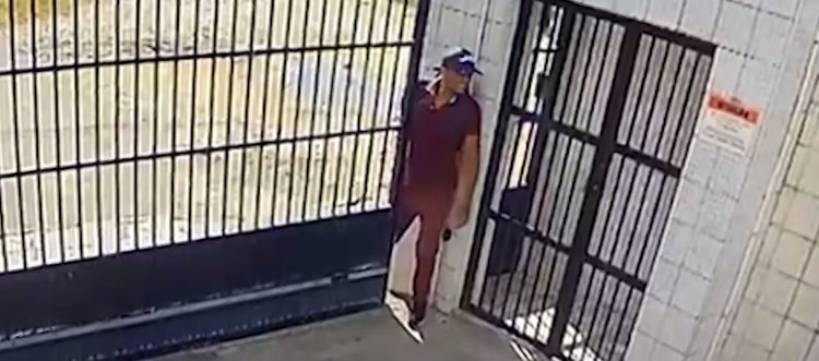 criminoso-forca-portao,-escala-predio,-invade-apartamento-e-furta-tv-e-perfumes-em-fortaleza