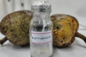 aedes-aegypti:-uece-recebe-patente-por-desenvolver-larvicida-natural-contra-o-mosquito-da-dengue