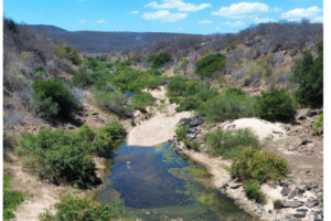 estudo-da-ufc-aponta-contaminacao-de-peixes-do-rio-poti-com-risco-de-cancer-em-humanos