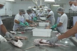 tarifaco-de-donald-trump-e-tema-de-debates-durante-realizacao-da-semana-nacional-do-pescado