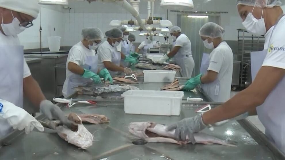 tarifaco-de-donald-trump-e-tema-de-debates-durante-realizacao-da-semana-nacional-do-pescado