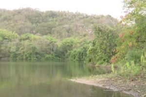 jovem-e-morto-a-tiros-apos-conhecidos-o-chamarem-para-ir-a-acude-em-guaiuba,-no-ceara
