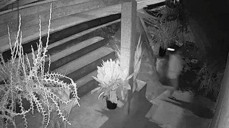 homem-e-morto-a-tiros-dentro-de-casa-apos-ter-residencia-invadida-no-interior-do-ceara