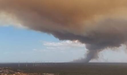 incendio-de-grandes-proporcoes-atinge-vegetacao-em-aracati-e-mobiliza-corpo-de-bombeiros