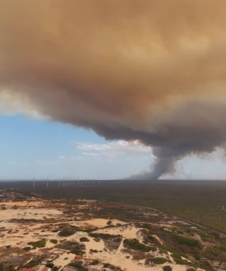 incendio-de-grandes-proporcoes-atinge-vegetacao-em-aracati-e-mobiliza-corpo-de-bombeiros
