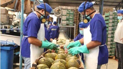 porto-do-pecem-projeta-exportacao-de-200-conteineres-de-frutas-por-semana-para-a-europa