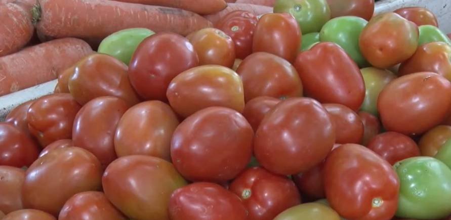 queda-nos-precos-das-hortalicas-no-ceara-alivia-o-bolso-de-comerciantes-e-consumidores