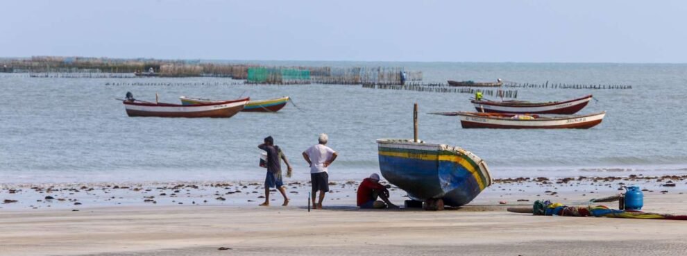 uece-e-a-primeira-universidade-do-brasil-a-ofertar-graduacao-a-comunidades-costeiras
