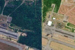 floresta-do-aeroporto:-empresa-contesta-denuncias-e-diz-que-supressao-foi-em-vegetacao-ja-degradada