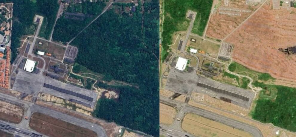 floresta-do-aeroporto:-empresa-contesta-denuncias-e-diz-que-supressao-foi-em-vegetacao-ja-degradada
