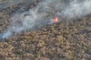 incendio-em-vegetacao-mobiliza-bombeiros-e-moradores-sao-retirados-de-casas-em-aracati