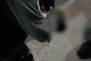 policiais-militares-salvam-bebe-engasgado-no-bairro-colonia,-em-fortaleza