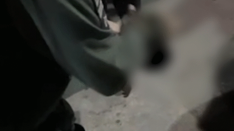 policiais-militares-salvam-bebe-engasgado-no-bairro-colonia,-em-fortaleza