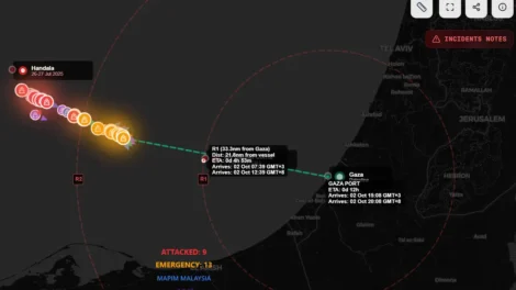 deputada-federal-luizianne-lins-esta-entre-os-dez-brasileiros-capturados-na-flotilha-de-ajuda-a-gaza