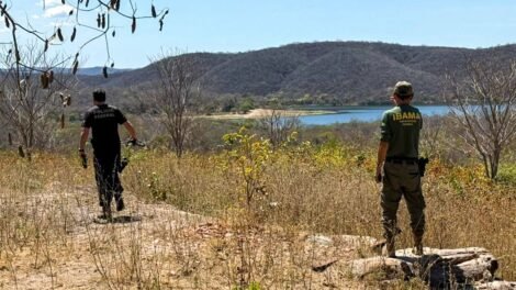 operacao-da-pf-combate-desmatamentos-ilegais-em-unidades-de-conservacao-do-ceara