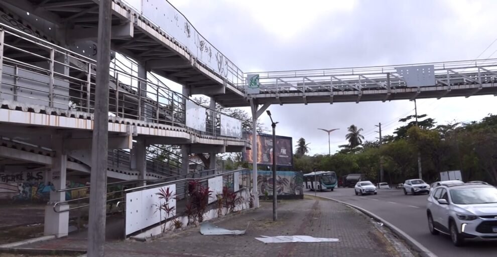 moradores-denunciam-infestacao-de-marimbondos-em-passarela-de-fortaleza