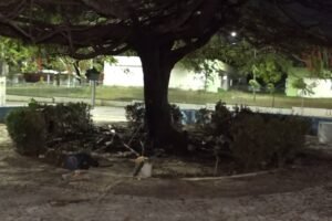 barraco-e-incendiado-apos-briga-entre-pessoas-em-situacao-de-rua-em-maracanau,-no-ceara