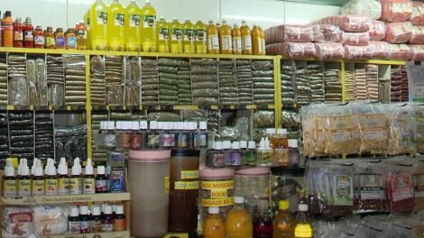 producao-de-temperos-no-ceara-combina-tradicao-culinaria-e-inovacao