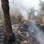 incendio-atinge-area-proxima-ao-parque-do-coco-e-mobiliza-corpo-de-bombeiros-em-fortaleza