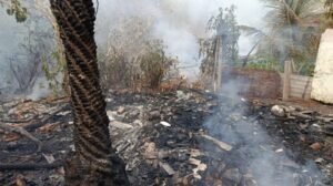 incendio-atinge-area-proxima-ao-parque-do-coco-e-mobiliza-corpo-de-bombeiros-em-fortaleza