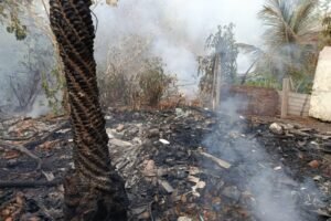 incendio-atinge-area-proxima-ao-parque-do-coco-e-mobiliza-corpo-de-bombeiros-em-fortaleza
