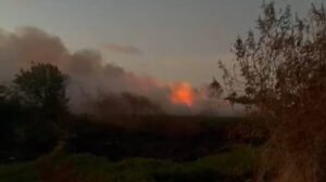 incendio-de-grandes-proporcoes-atinge-area-de-vegetacao-proximo-ao-rio-coco,-em-fortaleza