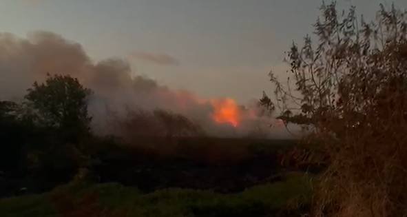 incendio-de-grandes-proporcoes-atinge-area-de-vegetacao-proximo-ao-rio-coco,-em-fortaleza