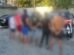 seis-homens-sao-presos-com-arma-de-fogo-apos-reacao-a-abordagem-policial-em-fortaleza