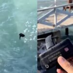 tornozeleira-eletronica-e-encontrada-boiando-em-rio-de-camocim,-no-ceara